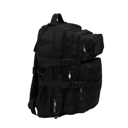 backpack 17